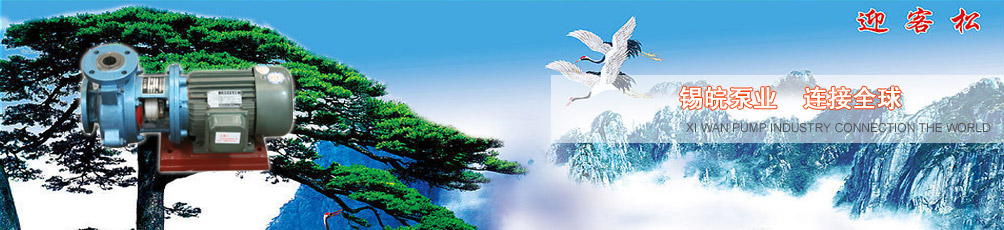锡皖泵业 连接全球 锡皖泵业 连接全球